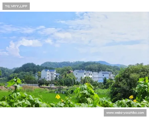 手球主题民宿亮相弋阳赛事衍生经济初具规模推动地方产业发展